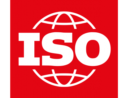 International Standards for Business, Government and Society